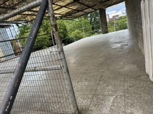 IMG_7598.jpeg